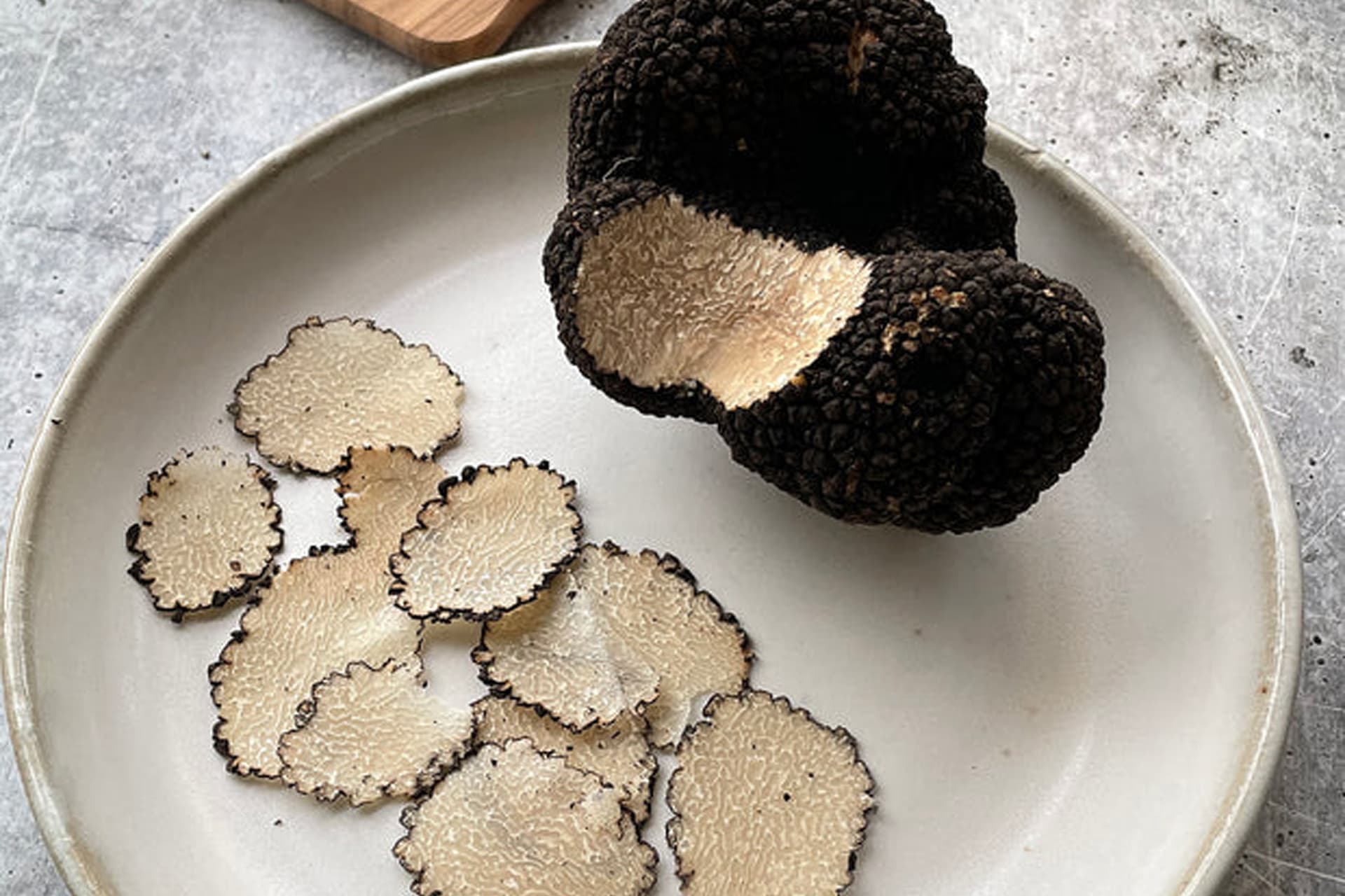 Truffle Hunt & Wine Tasting Private Tour, Florence