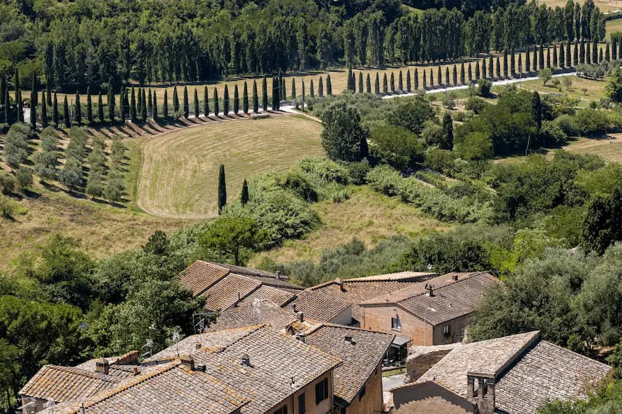 Tuscany in a Day: Vineyards, Villages and Scenic Roads
