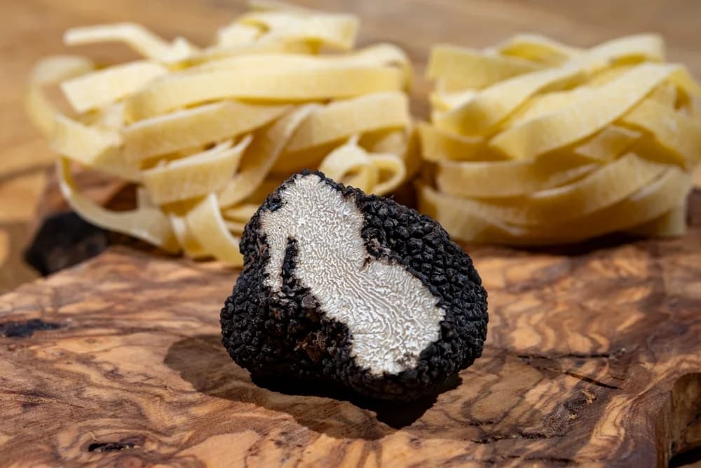 The Perfect Pairing: Wine and Truffle in Tuscany