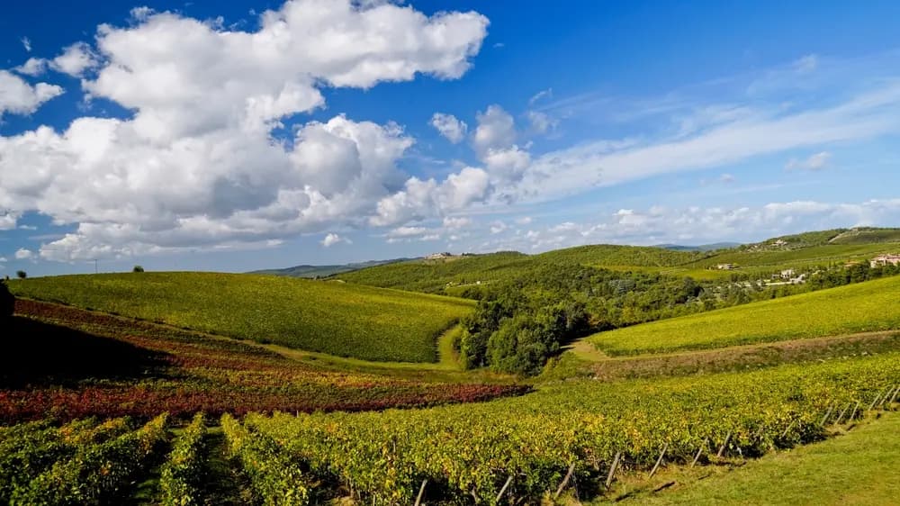 Brolio Castle: A Journey Through Chianti's History